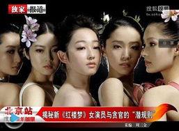 潜规则全书阅读 明星黑料合法吗,明星黑料合法性的边界探讨
