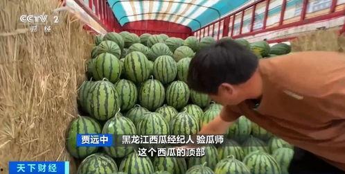 热点吃瓜.爆炸瓜视频