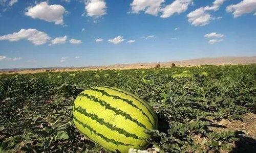 热点吃瓜.爆炸瓜视频