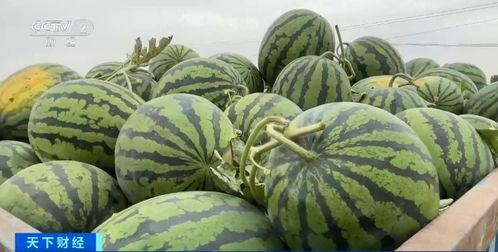 热点吃瓜.爆炸瓜视频