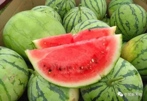 今日吃瓜每日,揭秘娱乐圈最新热点事件