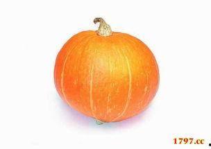 必吃大瓜今日大瓜,今日热门话题大盘点